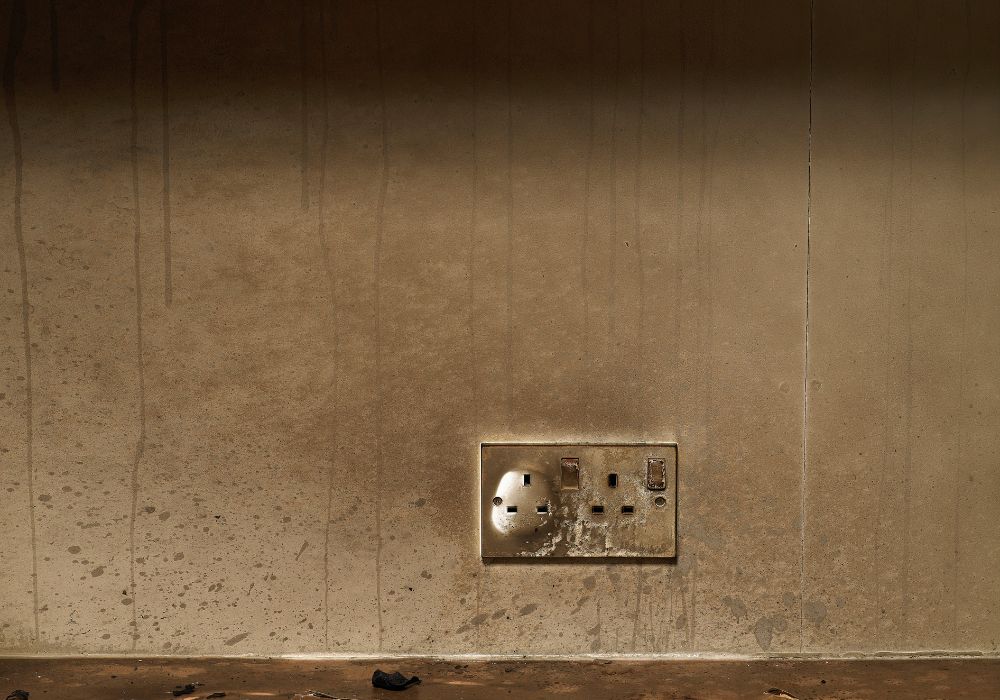 Desanitization expert cleaning kitchen