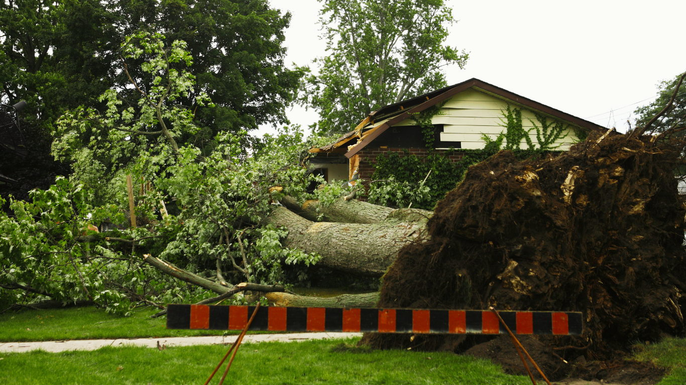 A massive tree lies uprooted and crashed into a residential home, showcasing the aftermath of severe weather and the urgent need for storm damage restoration to ensure safety and structural repair.