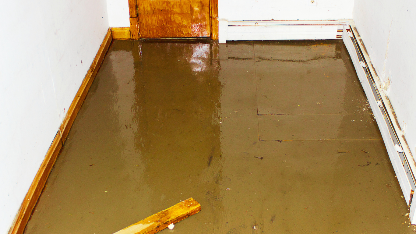 A flooded room with standing water covering the floor and water-damaged baseboards, representing the urgent need for water damage restoration in Southwest Florida.