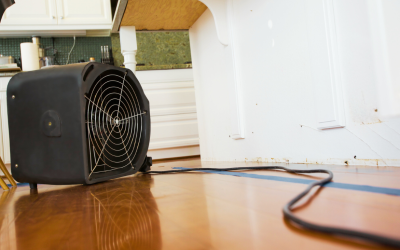 What to Do When Water Damage Strikes Your Home or Business