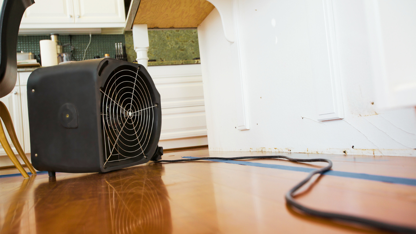 what-to-do-when-water-damage-strikes-your-home-or-business