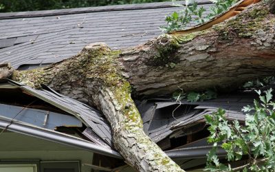 How to Tackle Storm Damage Restoration in Estero Like a Pro