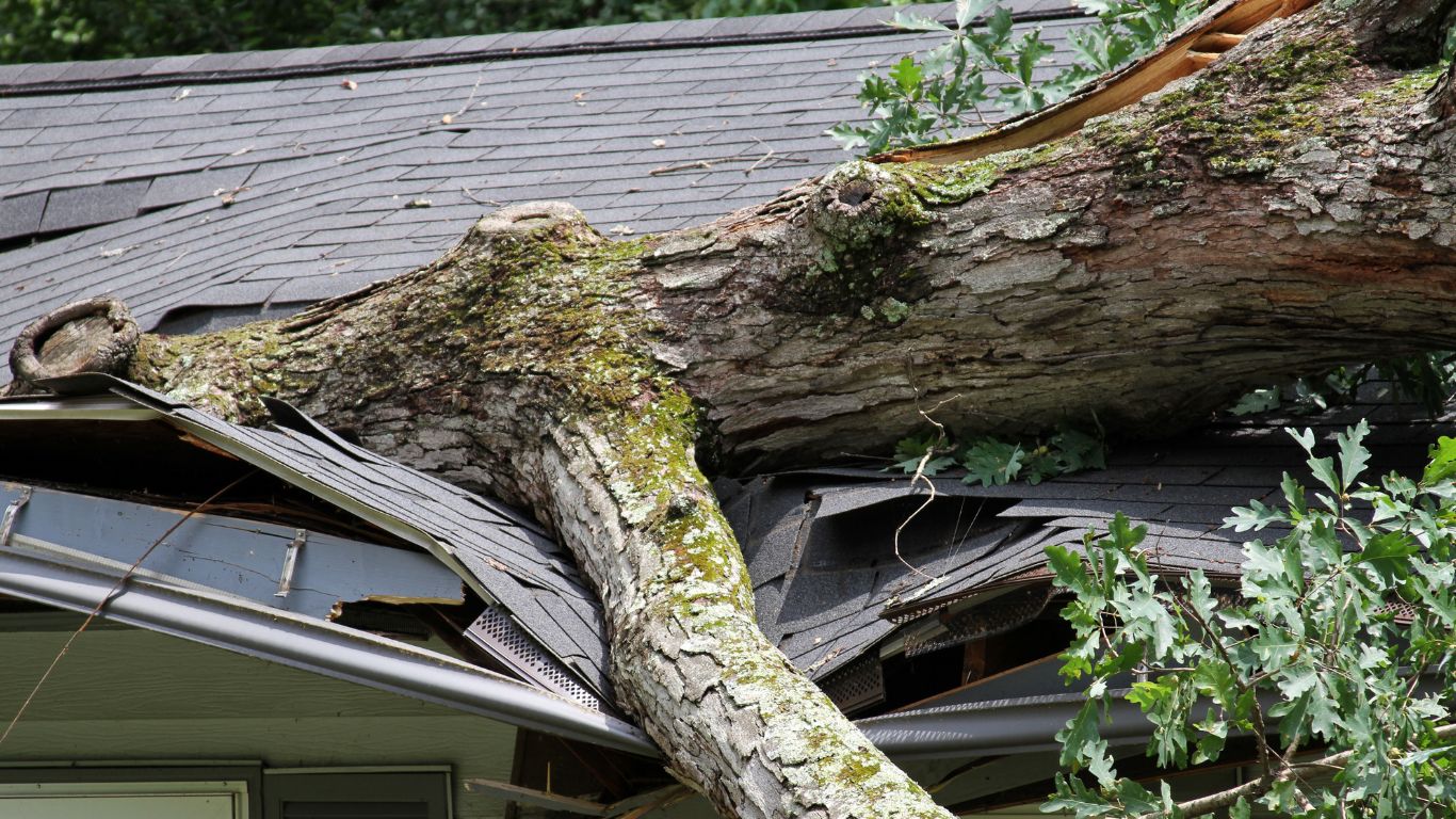 Naples Storm damage Restoration
