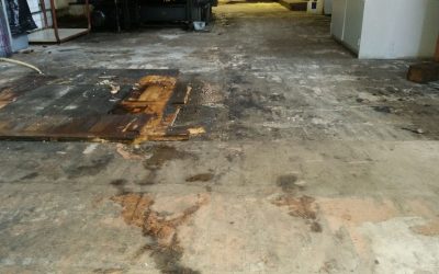 Don’t Just Dry It Fix It with Expert Water Damage Restoration