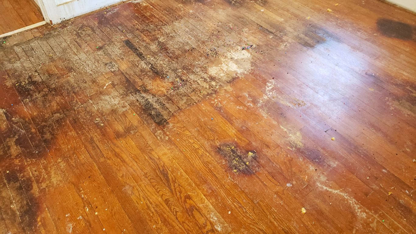 From Soggy to Spotless with Water Damage Restoration in Bonita Springs (1) water damage restoration of a floor in bonita springs