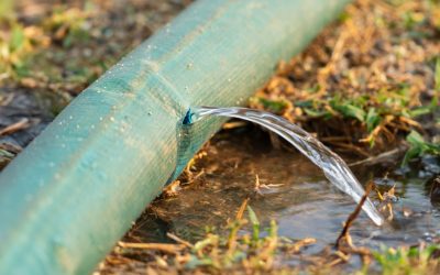 Leak Detection Services in Bonita Springs Can Explain What Your Water Bill Is Telling You