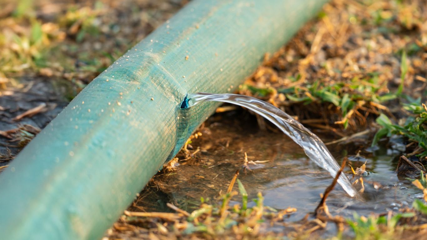 leak detection bonita springs