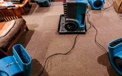 Common Water Damage Restoration Mistakes to Avoid in Bonita Springs