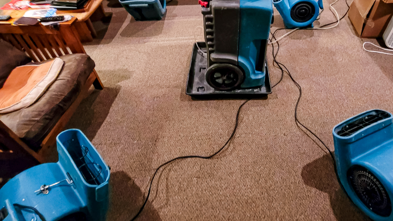 water damage restoration bonita springs