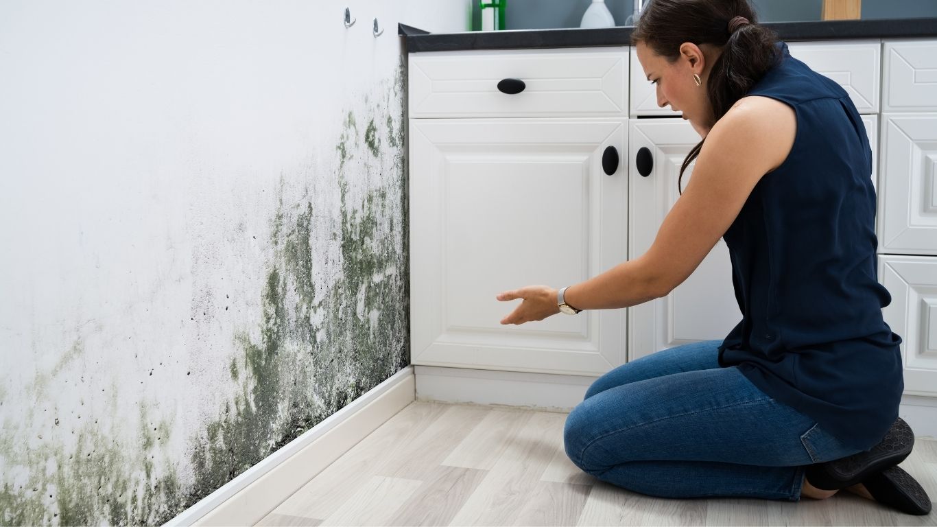 Mold removal in Naples cost evaluation showing a homeowner inspecting mold growth on a wall